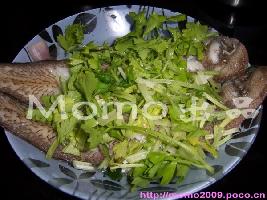 ������ɳ��