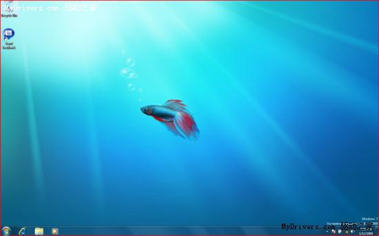 Windows 7 Beta与泰国斗鱼