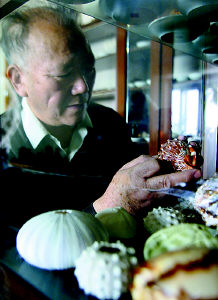 老翁迷海螺 家似海洋馆图