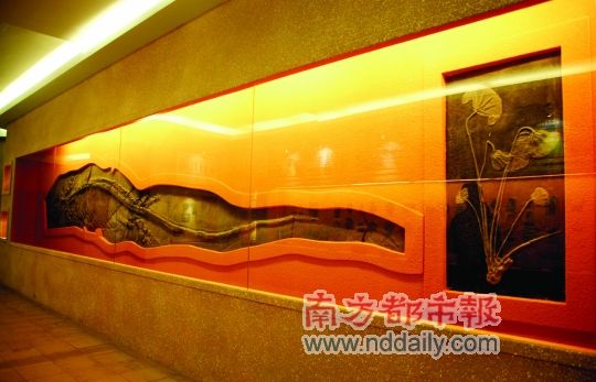 沉睡17年再度鹣鲽并行