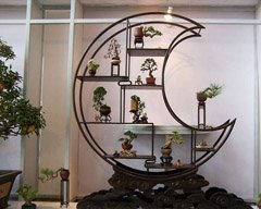 “入门级”养花者必修课