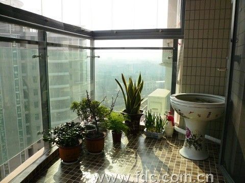 家居花卉的摆放有讲究