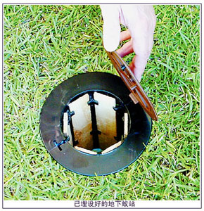 对付白蚁有新招图