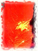 鸡冠花斑点病图