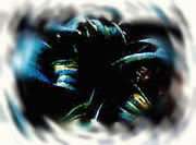 观赏葱花叶病图